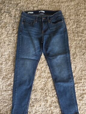 Vigoss Indigo Skinny Jeans